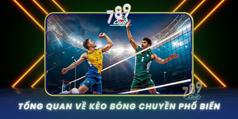 Tong Quan Ve Keo Bong Chuyen Pho Bien