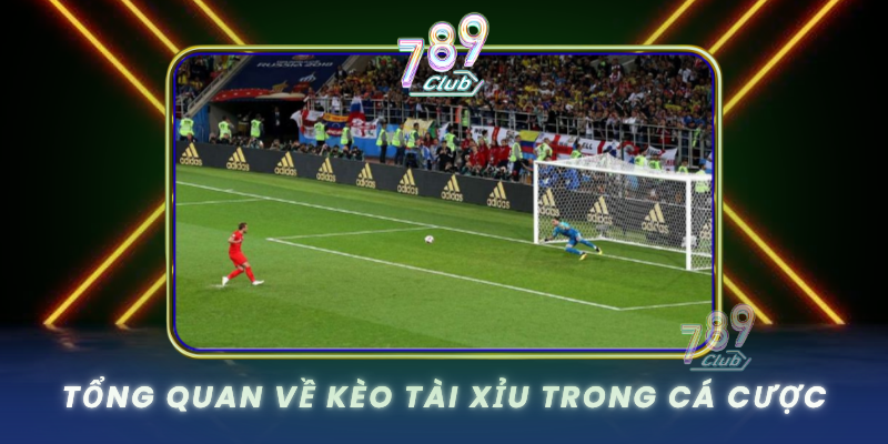 Tong Quan Ve Keo Tai Xiu Trong Ca Cuoc